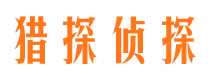 宁武侦探公司